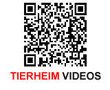 tierheim-videos