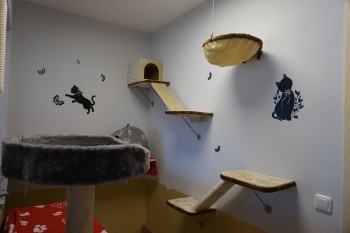 Katzenzimmer