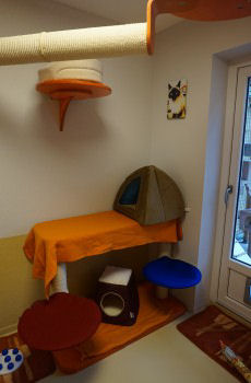 Katzenzimmer